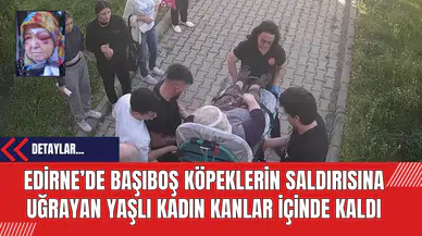 Edirne’de Başıboş Köpeklerin Saldırısına Uğrayan Yaşlı Kadın Kanlar İçinde Kaldı