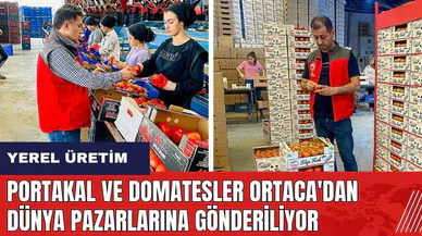 Portakal ve domatesler Ortaca'dan dünya pazarlarına gönderiliyor