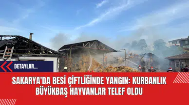 Sakarya'da Besi Çiftliğinde Yangın: Kurbanlık Büyükbaş Hayvanlar Telef Oldu