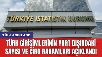 TÜİK açıkladı! Türk girişimlerinin yurt dışındaki sayısı ve ciro rakamları açıklandı
