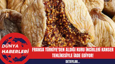 Fransa Türkiye'den Aldığı Kuru İncirleri Kanser Tehlikesiyle İade Ediyor!