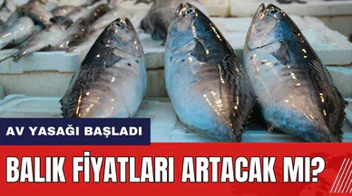 Av yasağı başladı! Balık fiyatları artacak mı?