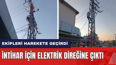 Hatay'da int*har için elektrik direğine çıktı