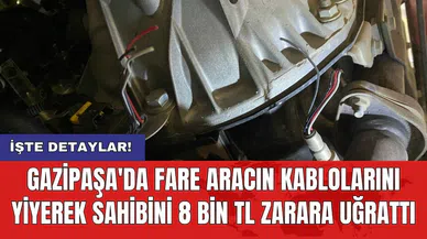 Gazipaşa'da fare aracın kablolarını yiyerek sahibini 8 bin TL zarara uğrattı