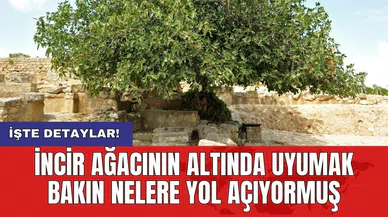 İncir ağacının altında uyumak gerçek bir tehlike mi?