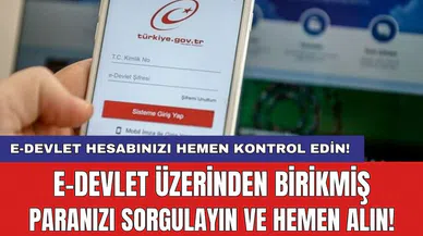 E-devlet üzerinden birikmiş paranızı sorgulayın ve hemen alın!