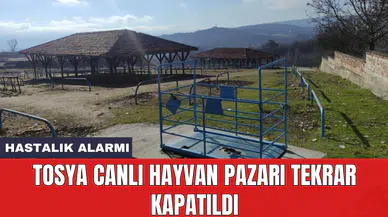 Tosya canlı hayvan pazarı tekrar kapatıldı