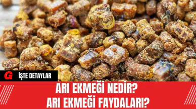 Arı Ekmeği Nedir? Arı Ekmeği Faydaları?