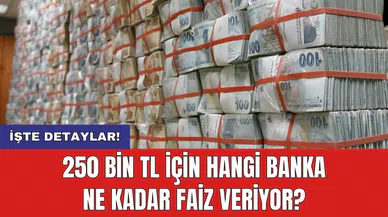 250 Bin TL İçin Hangi Banka Ne Kadar Faiz Veriyor?