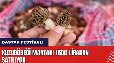 Kuzugöbeği mantarı 1500 liradan satılıyor