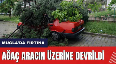 Muğla'da fırtına! Ağaç aracın üzerine devrildi