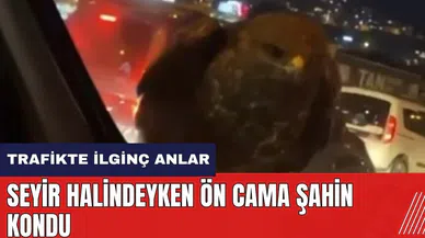 Seyir halindeyken ön cama şahin kondu