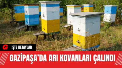 Gazipaşa’da Arı Kovanları Çalındı