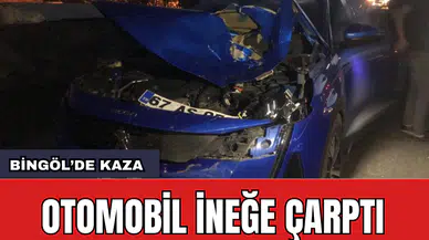 Bingöl'de Otomobil İneğe Çarptı