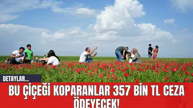 Bu Çiçeği Koparanlar 357 Bin TL Ceza Ödeyecek!