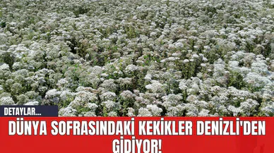 Dünya Sofrasındaki Kekikler Denizli'den Gidiyor!