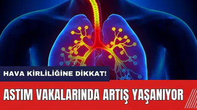 Hava kirliliğine dikkat! Astım vakaları artıyor