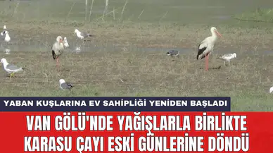Van Gölü'nde yağışlarla birlikte Karasu Çayı eski günlerine döndü
