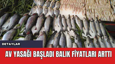 Av Yasağı Başladı Balık Fiyatları Arttı