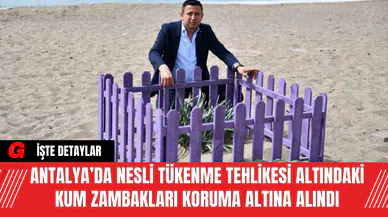 Antalya’da Nesli Tükenme Tehlikesi Altındaki Kum Zambakları Koruma Altına Alındı