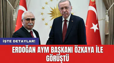 Erdoğan AYM Başkanı Özkaya ile görüştü