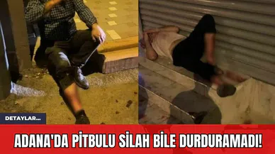 Adana'da Pitbulu Silah Bile Durduramadı!
