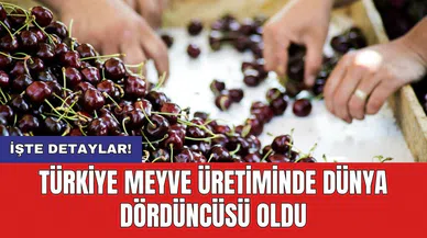 Türkiye meyve üretiminde Dünya dördüncüsü oldu
