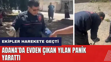 Adana'da evden çıkan yılan panik yarattı