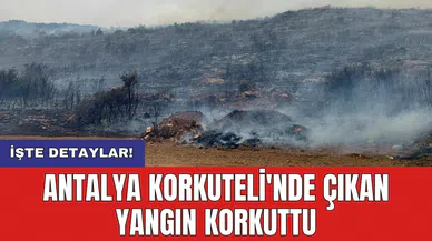 Antalya Korkuteli'nde çıkan yangın korkuttu
