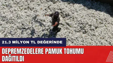 Hatay'da depremzedelere 21 Milyon liralık pamuk tohumu dağıtıldı