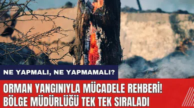 Orman yangınıyla mücadele rehberi! Ne yapmalı ne yapmamalı? Muğla Orman Bölge Müdürlüğü tek tek sıraladı