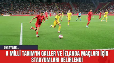 A Milli Takım'ın Galler ve İzlanda Maçları İçin Stadyumları Belirlendi