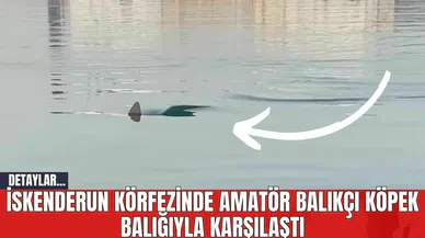 İskenderun Körfezinde Amatör Balıkçı Köpek Balığıyla Karşılaştı