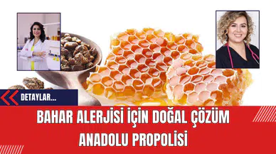 Bahar Alerjisi İçin Doğal Çözüm: Anadolu Propolisi