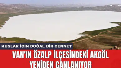 Van'ın Özalp ilçesindeki Akgöl yeniden canlanıyor