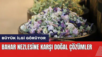 Bahar nezlesine karşı doğal çözümler