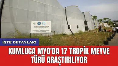 Kumluca MYO'da 17 Tropik Meyve Türü Araştırılıyor