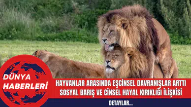 Hayvanlar Arasında Eşcinsel Davranışlar Arttı