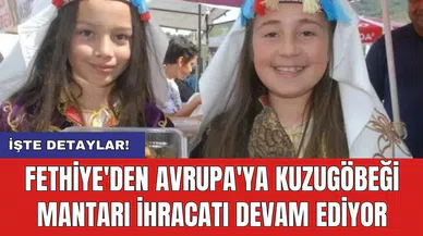 Fethiye'den Avrupa'ya Kuzugöbeği Mantarı İhracatı Devam Ediyor