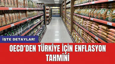 OECD'den Türkiye için enflasyon tahmini
