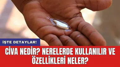 Civa nedir? Nerelerde kullanılır ve özellikleri neler?