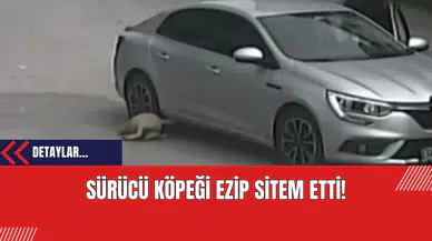 Sürücü Köpeği Ezip Sitem Etti!