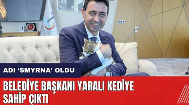 İzmir'de Bayraklı Belediye Başkanı yaralı kediye sahip çıktı! Adı Smyrna oldu