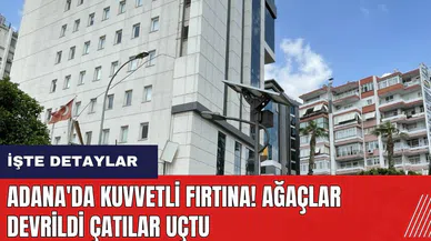 Adana'da kuvvetli fırtına! Ağaçlar devrildi çatılar uçtu
