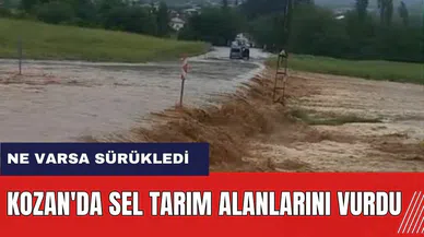 Adana Kozan'da sel tarım alanlarını vurdu