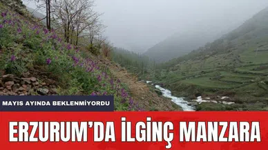 Mayıs'ta İlginç Manzaralar