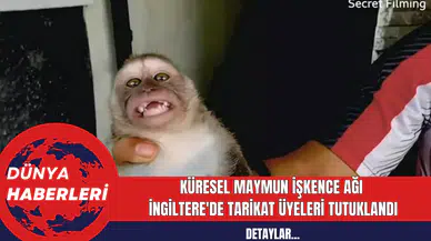 Küresel Maymun İşkence Ağı: İngiltere'de Tarikat Üyeleri Tutuklandı