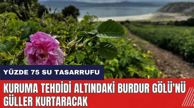 Kuruma tehdidi altındaki Burdur Gölü'nü güller kurtaracak