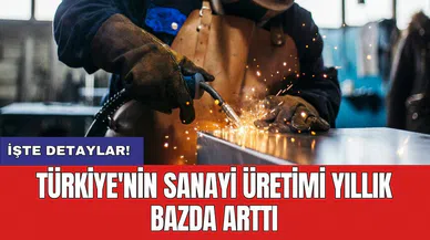 Türkiye'nin sanayi üretimi yıllık bazda arttı