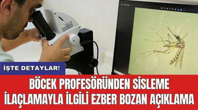 Böcek profesöründen sisleme ilaçlamayla ilgili ezber bozan açıklama